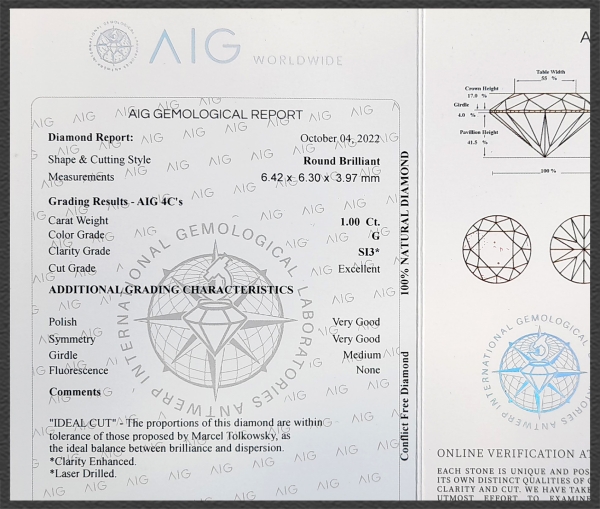 585 Gold Gleiter Anhänger 1,0ct, Top Wesselton G